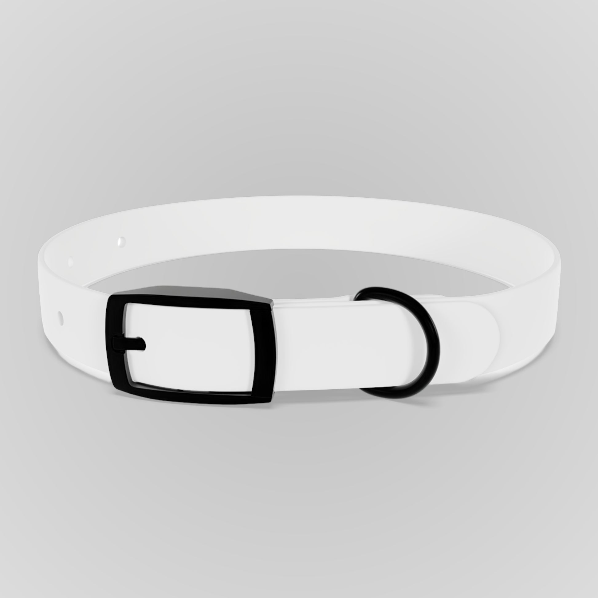 Dog Collar
