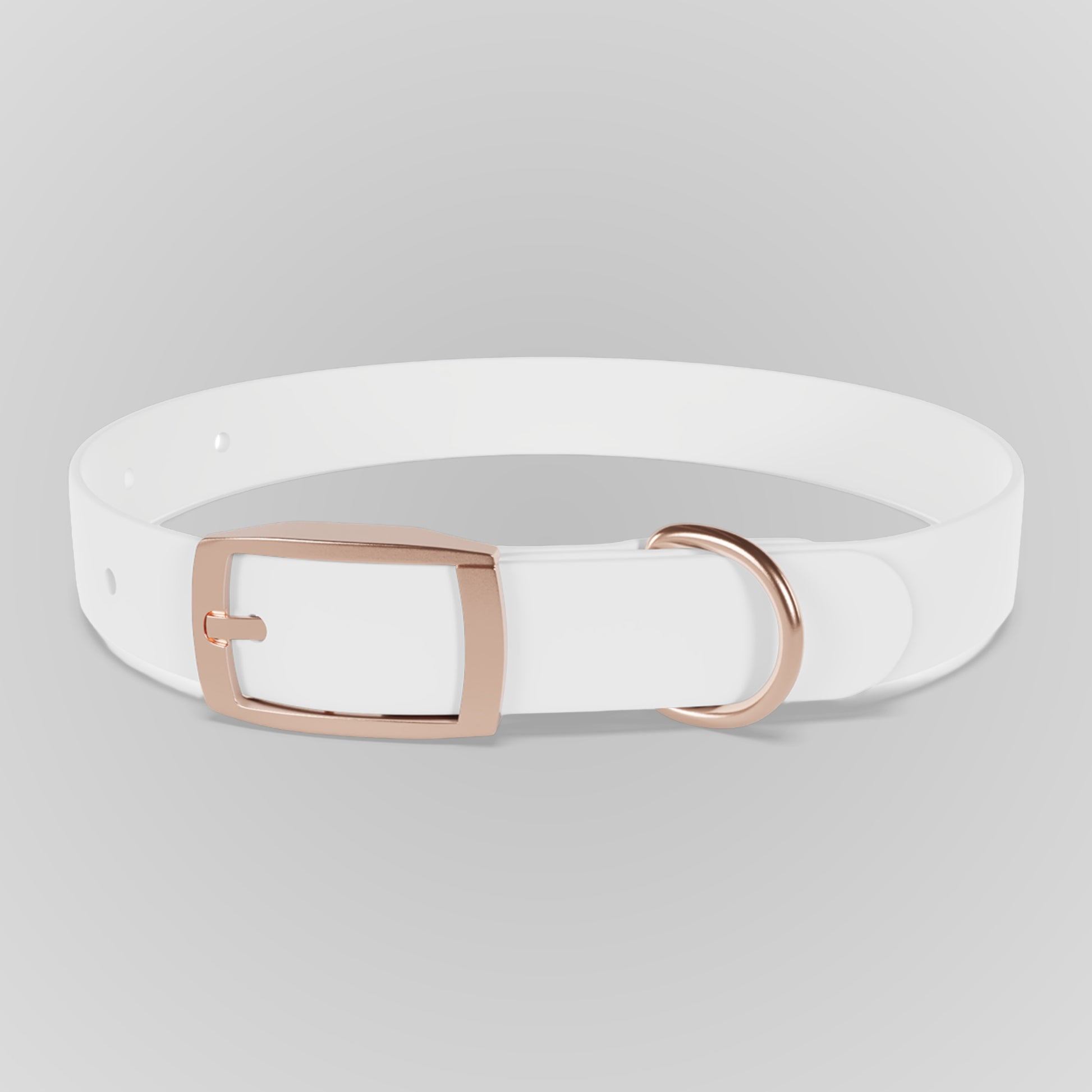 Dog Collar
