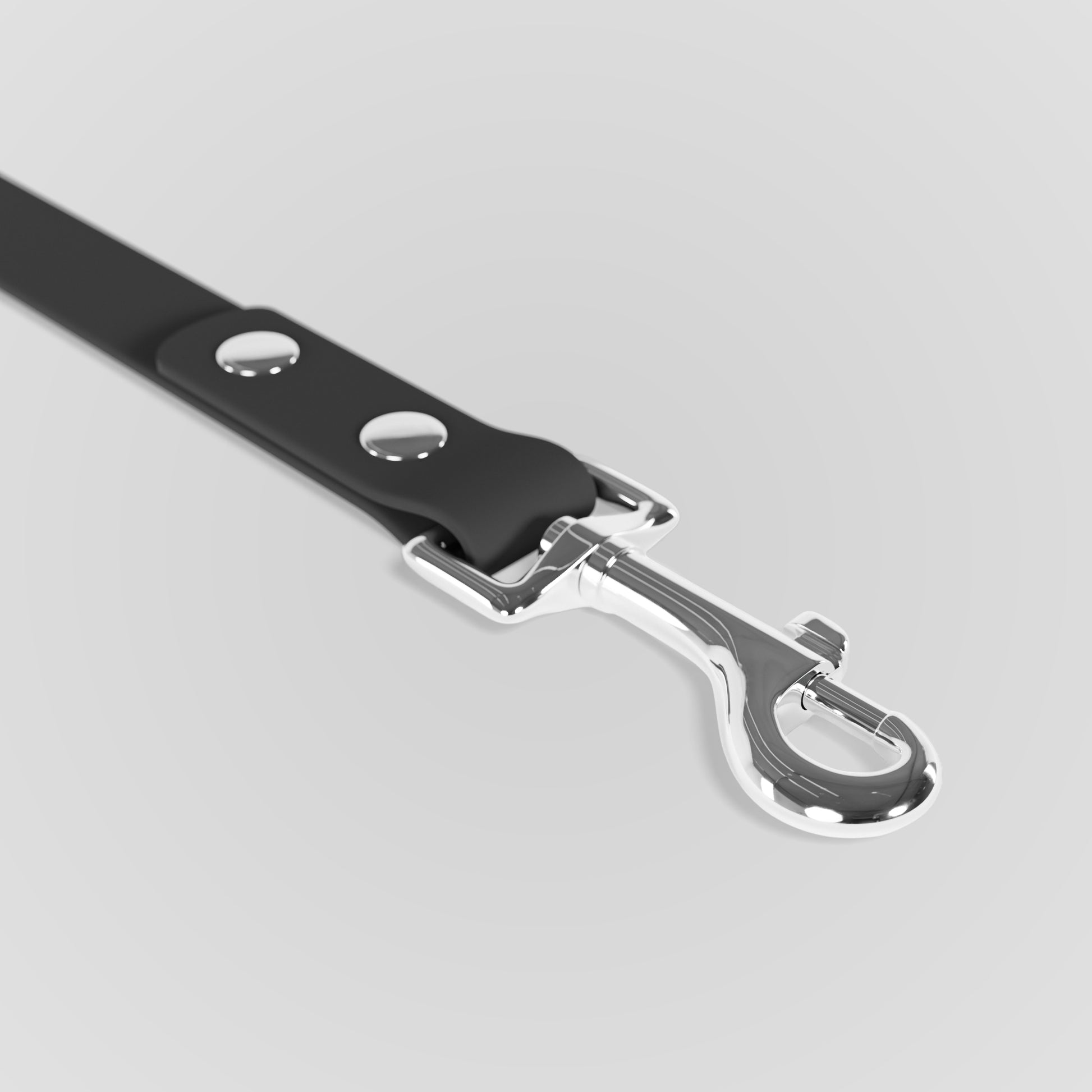 Leash